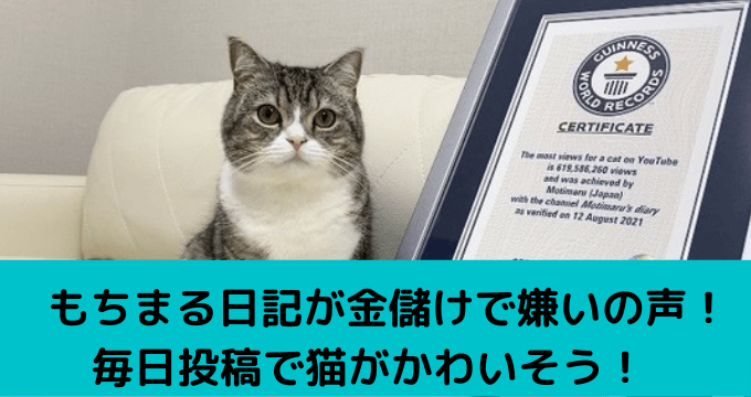 もちまる日記が嫌いの声 金儲けで毎日投稿 猫がストレスでかわいそう ゆごてん